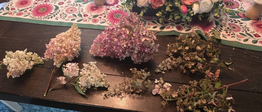 Dried Hydrangea Flower Heads Mixed Colors Hydrangea-Style Clusters Lot